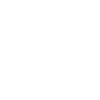 Social icon